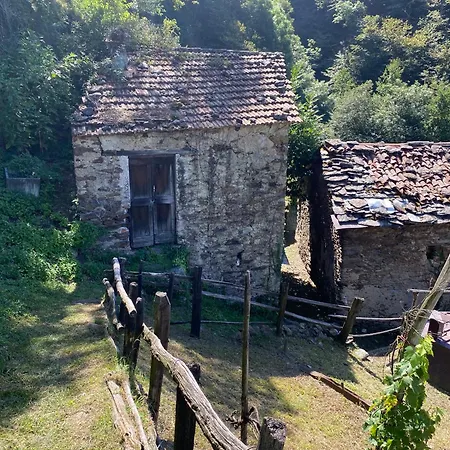 Oro, 8 Bellano